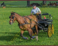 1POSIEUX 0119